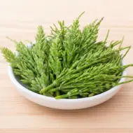 Ajuda na recuperação dos tecidos e no fortalecimento das articulações. Contribui para diminuir o desconforto e a inflamação do dia a dia.