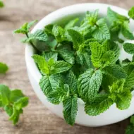 Possui efeito refrescante e anti-inflamatório. Auxilia a relaxar músculos e articulações, reduzindo a sensação de peso e desconforto.